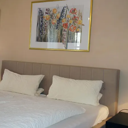 Гостевой дом Altstadtpension Dietz 3*