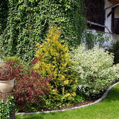 Altstadtpension Dietz 3* Кельхайм